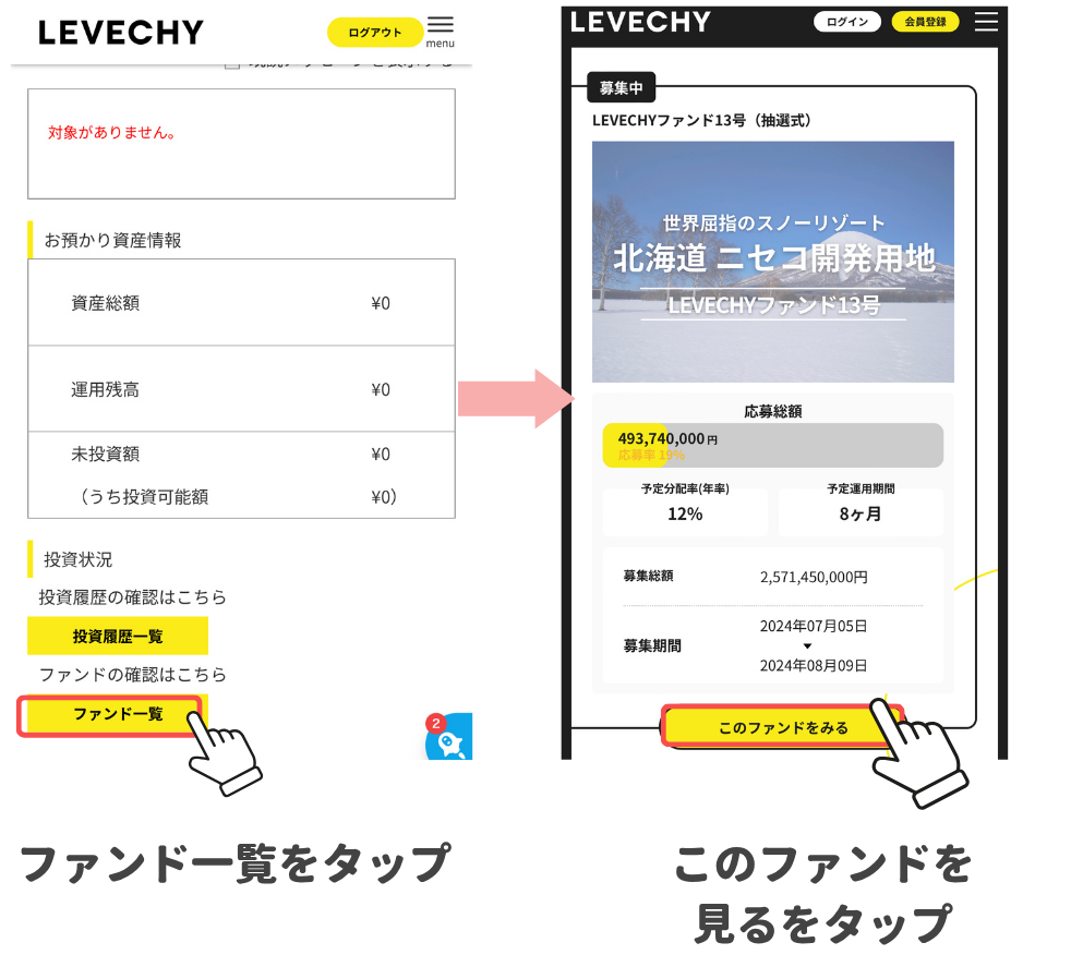 レベチー投資方法